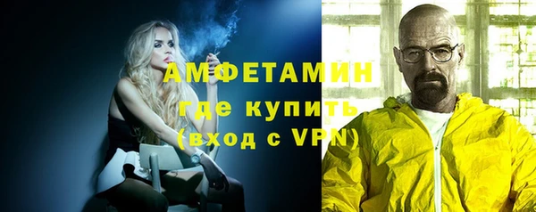 прущие грибы Михайловск