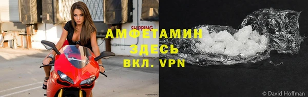 прущие грибы Михайловск