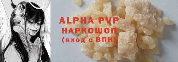 прущие грибы Михайловск
