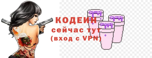 прущие грибы Михайловск