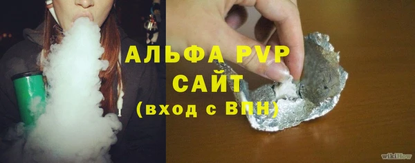 прущие грибы Михайловск