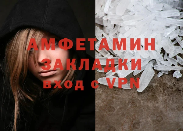 прущие грибы Михайловск