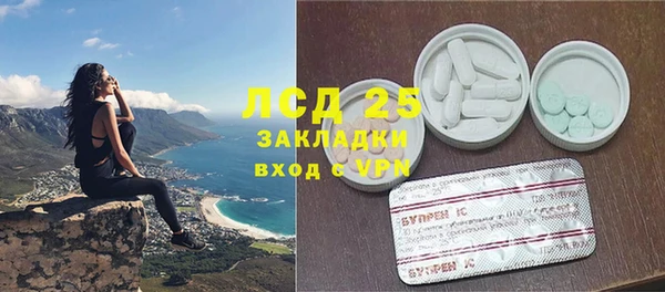 сатива Михайловка