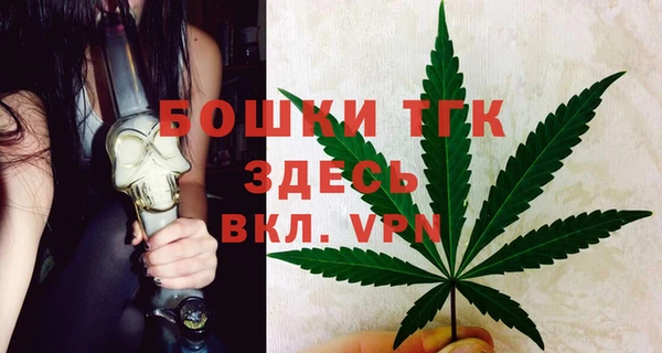 прущие грибы Михайловск