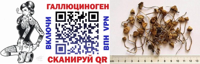 Псилоцибиновые грибы ЛСД  mega   Ряжск 